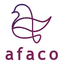 شرک آینده سازان فناوری اطلاعات و ارتباطات با مدیریت اشکان اسدپور